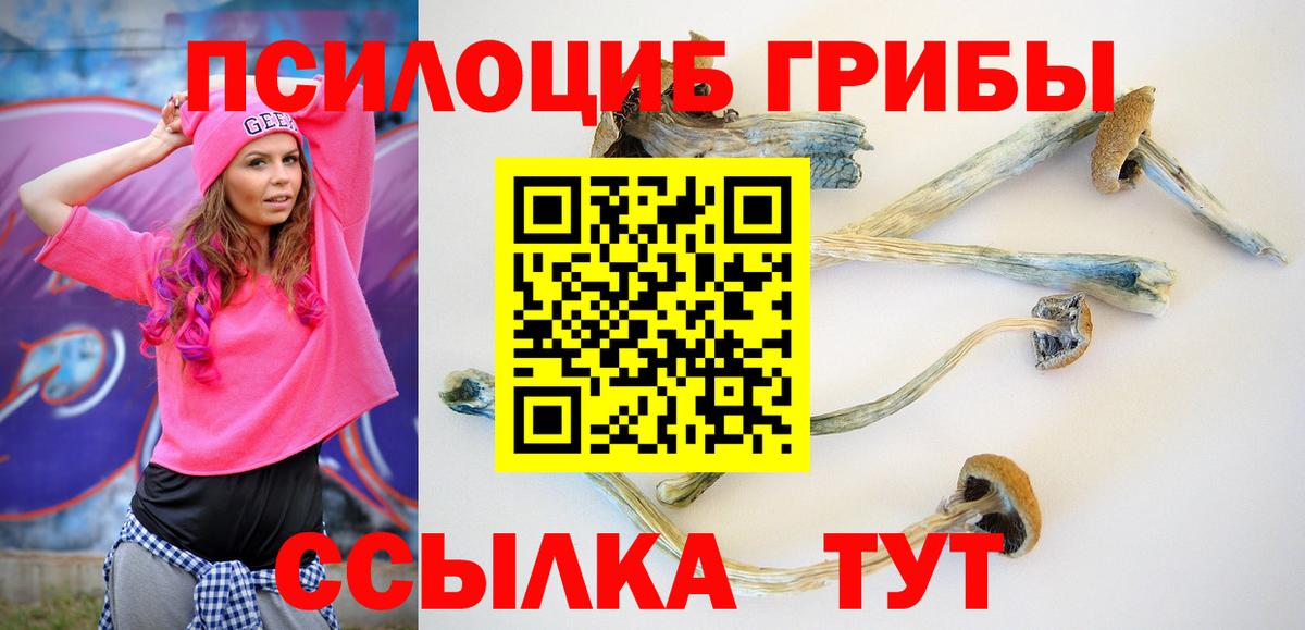 Галлюциногенные грибы Psilocybe Кыштым