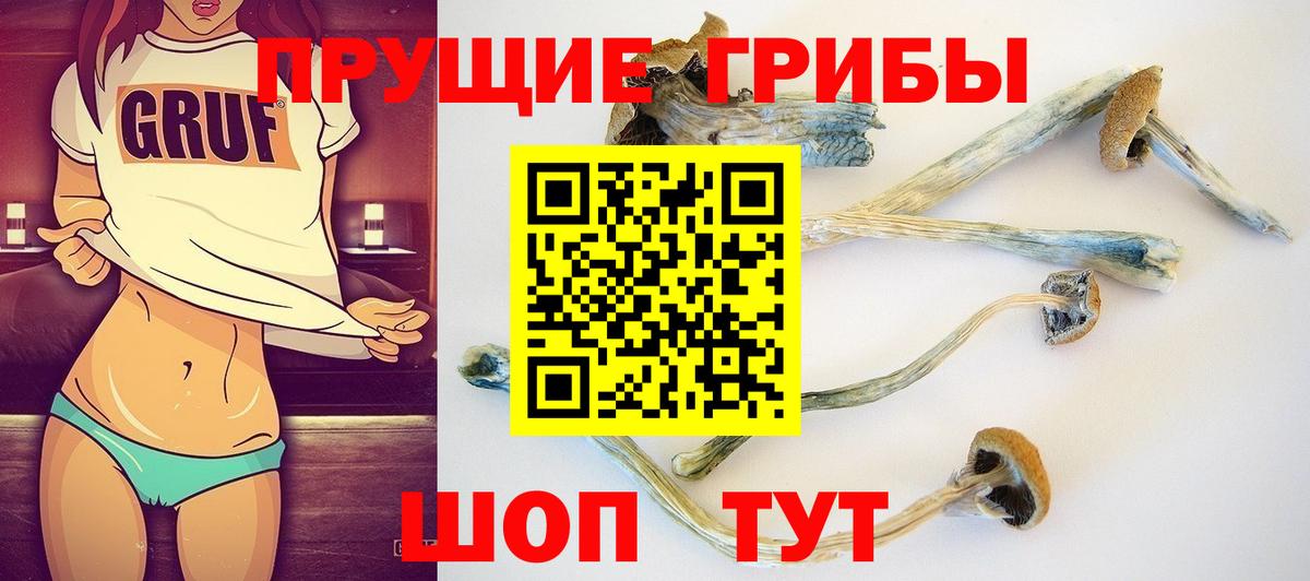 Кыштым  Псилоцибиновые грибы Magic Shrooms  Вход с VPN  Псилоцибиновые грибы Psilocybine cubensis 